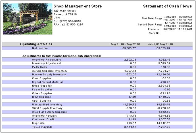 statementofcashflowsreport.jpg